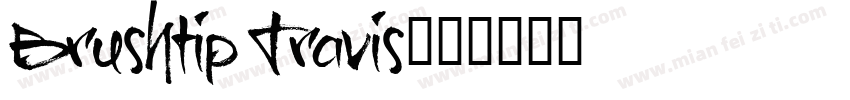 Brushtip Travis字体转换